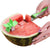 Watermelon Cutter Windmill Shape Plastic Slicer for Cutting Watermelon Power Save Cutter eprolo