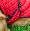 Dog Clothes Winter Thickening Warm Pet Reflective Outdoor Jacket Coat eprolo