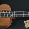Ukulele Uke 4 Nylon Strings Sapele Rosewood Guitar Dolphin Pattern Universal Acoustic Instrument eprolo