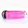Nylon LED Pet Dog Collar,Night Safety Flashing Glow In The Dark Dog Leash,Dogs Luminous Fluorescent Collars Pet Supplies 4.7 eprolo