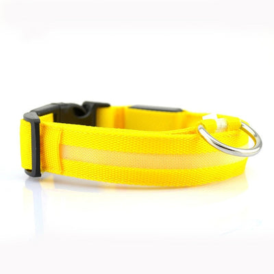 Nylon LED Pet Dog Collar,Night Safety Flashing Glow In The Dark Dog Leash,Dogs Luminous Fluorescent Collars Pet Supplies 4.7 eprolo
