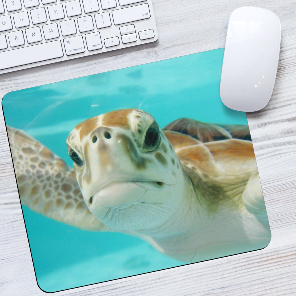 Mexico Turtle Mousepad Getbrewtaps.com
