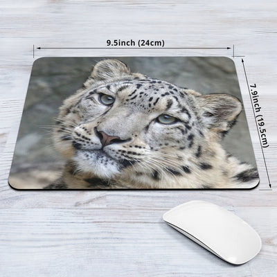 Baby Snow Leopard Mousepad Getbrewtaps.com